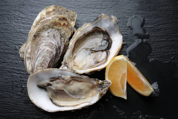 Delicious oysters with lemon — Stock Photo, Image