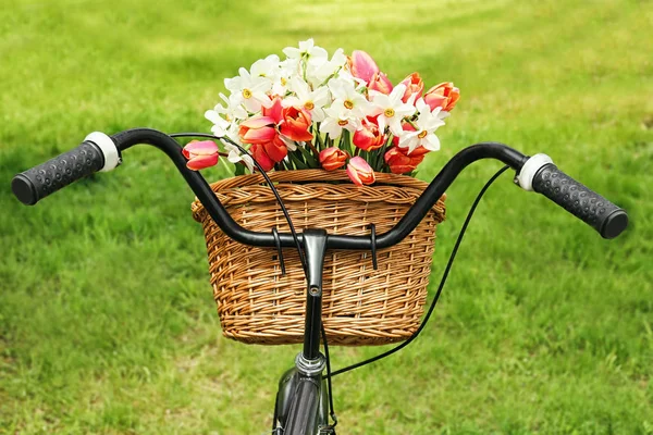 Fahrrad mit Korb voller schöner Blumen — Stockfoto