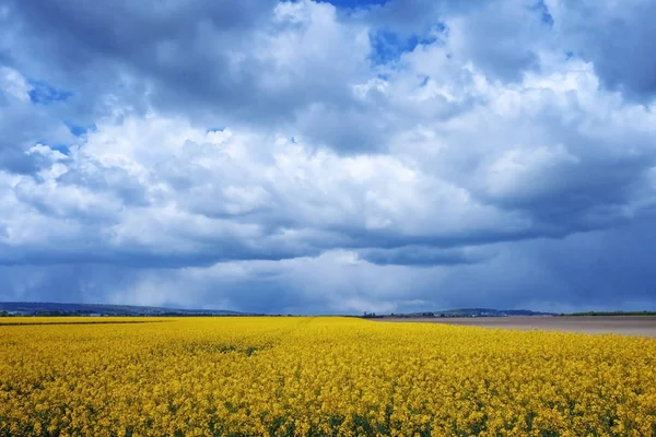 Piękne pola z puszyste chmury — Zdjęcie stockowe