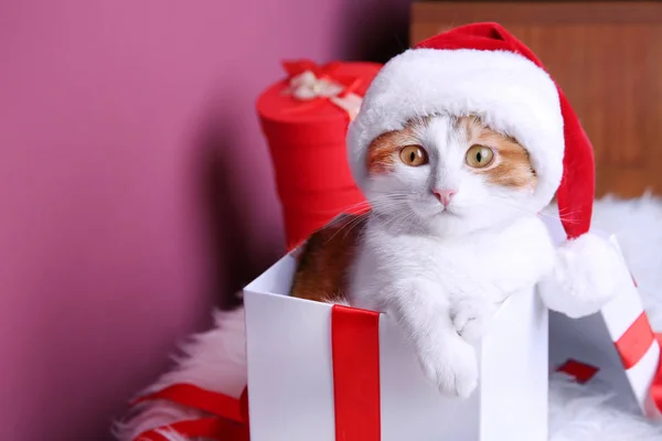 Caja de regalo con gato lindo — Foto de Stock