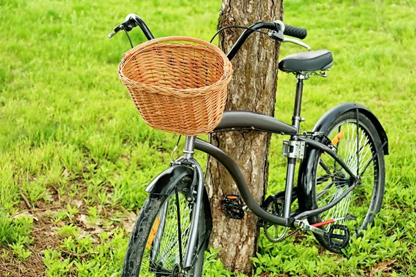 枝編み細工品バスケットと自転車 — ストック写真