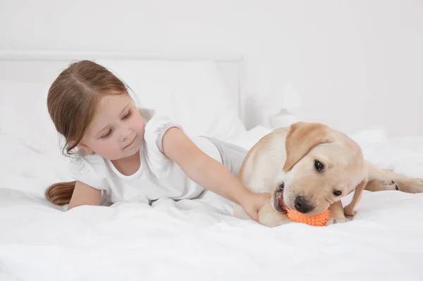 Bambino carino con Labrador Retriever sul letto — Foto Stock