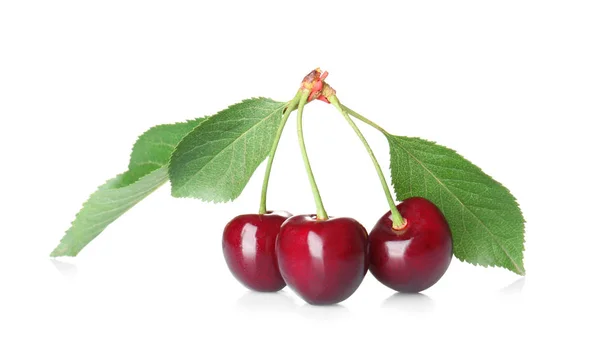 Färsk sötkörsbär och gröna blad — Stockfoto