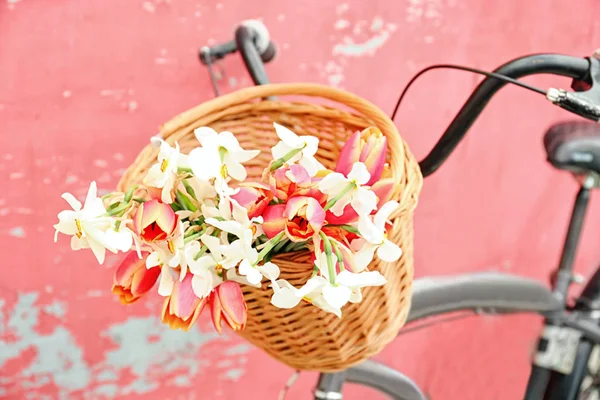 Fiets met het mandje van de prachtige bloemen — Stockfoto