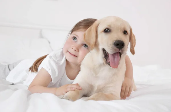 Bambino carino con Labrador Retriever sul letto — Foto Stock