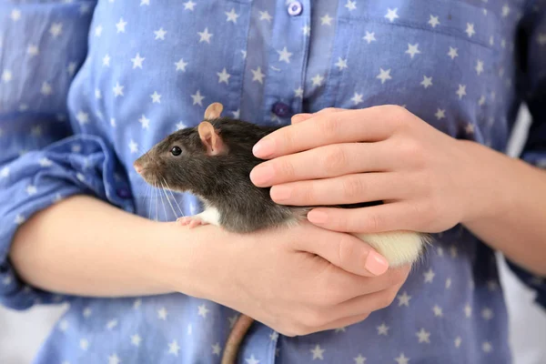 Wanita memegang tikus lucu — Stok Foto