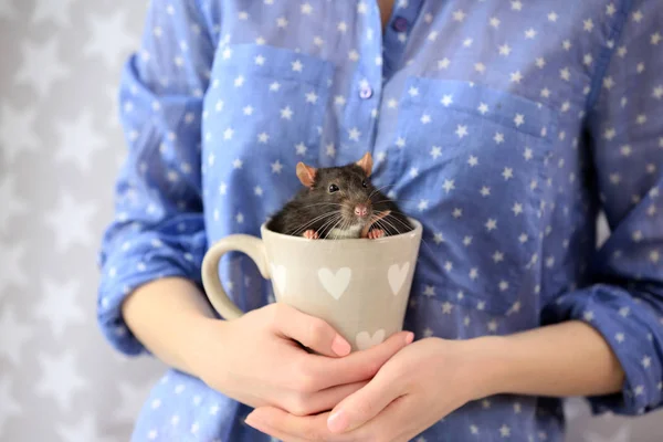 Mujer sosteniendo taza con linda rata —  Fotos de Stock