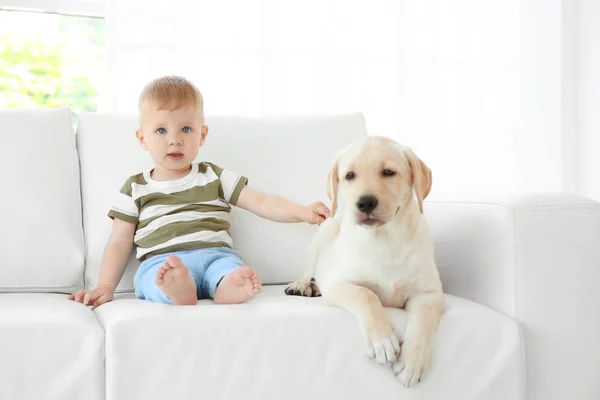 Cute child with Labrador — Stock Photo, Image