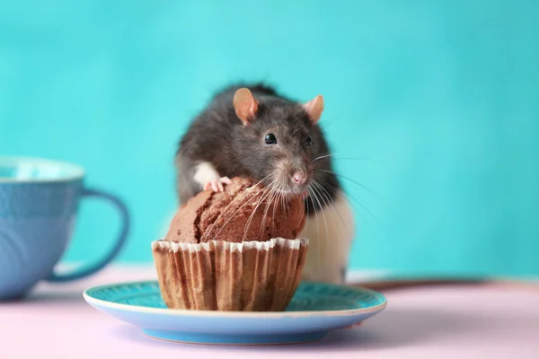 Söt råtta och tefat med tårta — Stockfoto