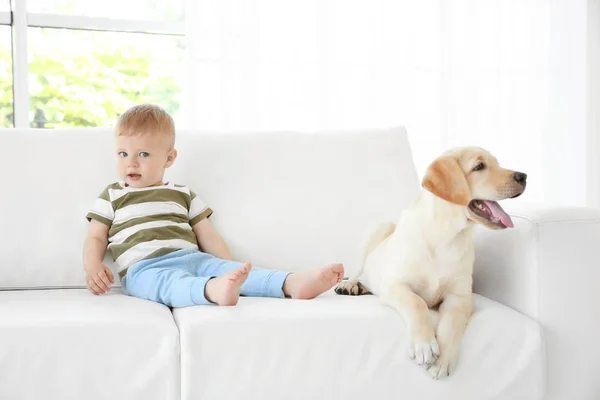 Schattig kind met Labrador — Stockfoto