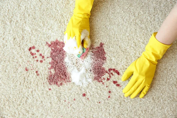 Mani in guanti pulizia tappeto — Foto Stock