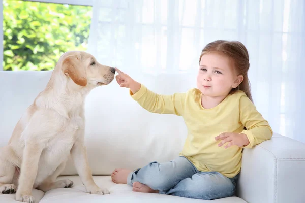 Cute child with Labrador Retriever on sofa — Stock Photo, Image