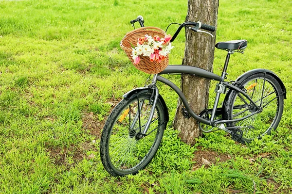 Cykel med korg av vackra blommor — Stockfoto