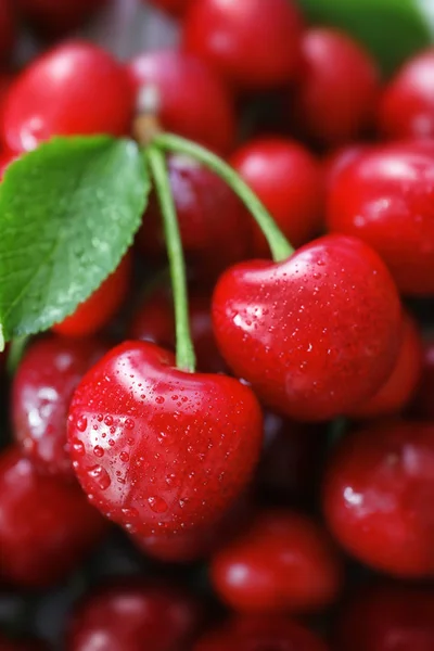 stock image Fresh ripe cherries