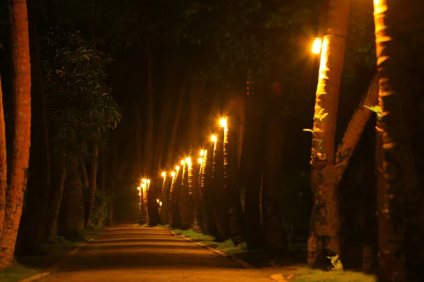 Night view of alley in park at tropical resort — Stock Photo, Image