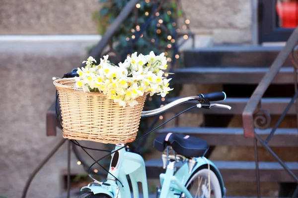 Bicycle with basket of flowers — Stock Photo, Image