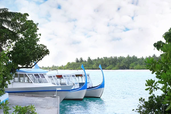 Modern tekne tropikal Resort ile yatak