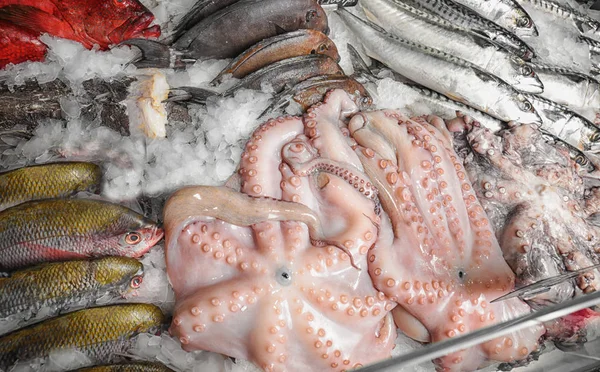 Taze balık ve deniz ürünleri.