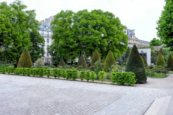 View of beautiful green park — Stock Photo, Image