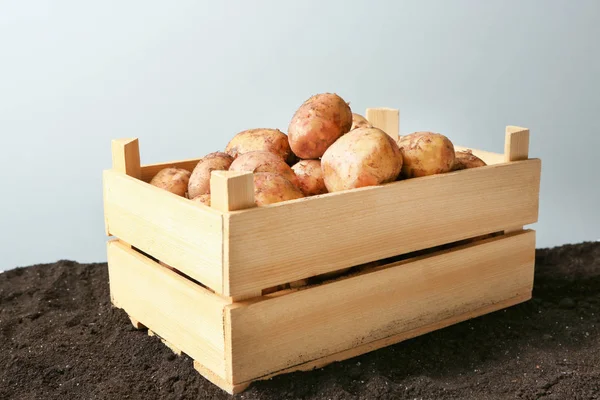 Caixa de madeira com batatas — Fotografia de Stock