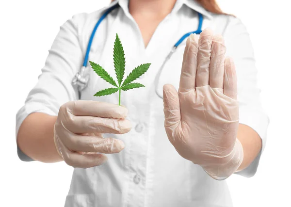 Female doctor with leaf of hemp — Stock Photo, Image