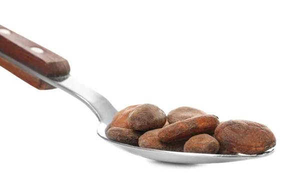 Cuchara con granos de cacao — Foto de Stock