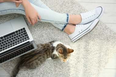  dizüstü bilgisayar kullanarak kedi kadınla