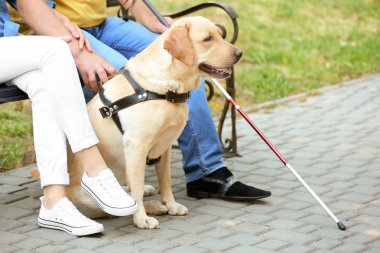 Rehber köpek ile kör adam 