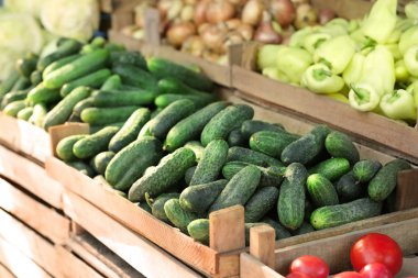 Sandık taze salatalık