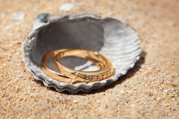 Gouden ringen in zee schelp — Stockfoto