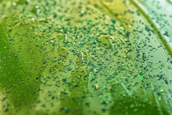 Zielony obraz olejny — Zdjęcie stockowe
