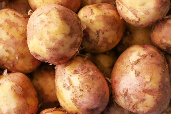 Jonge aardappelen, close-up — Stockfoto