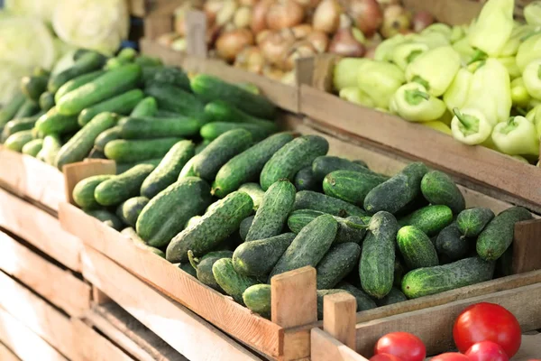 Sandık taze salatalık