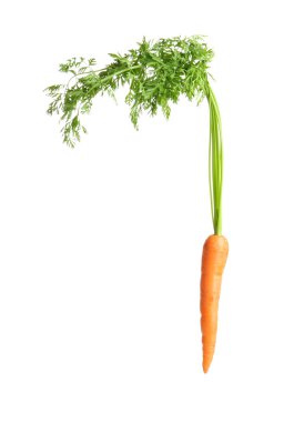 Beyaz arka planda taze havuç