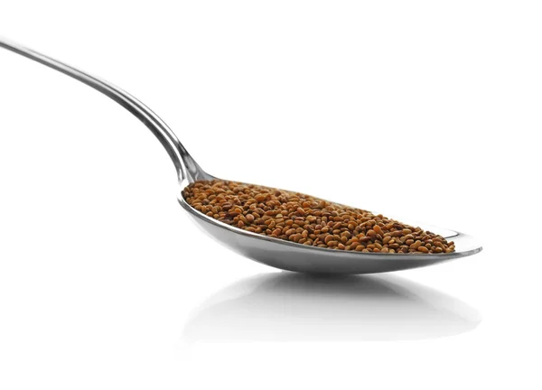 Alfalfa seeds in spoon — Stock Photo, Image