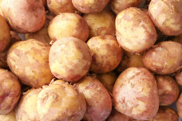 Genç patates, portre