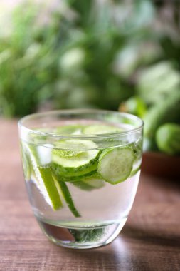 Nane ve salatalık ile su yenileme Delicious 