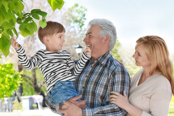 Schattige gelukkige jongen met grootouders in voorjaar park op zonnige dag — Stockfoto