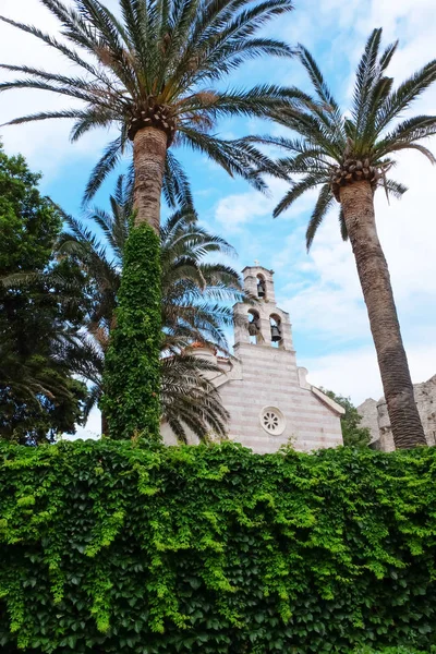 Hapel through bright green bushes — Stock Photo, Image