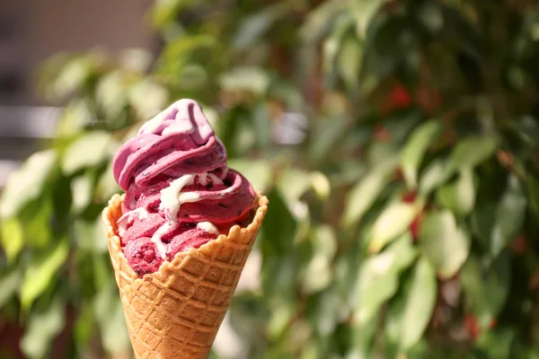 Yogurt ice-cream cone — Stock Photo, Image