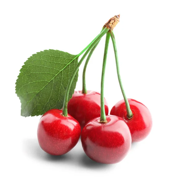 Cerises douces fraîches — Photo