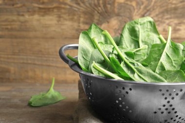 taze ıspanak yaprakları