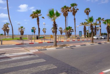 Yol güzel şehirde palmiye ağaçları ile