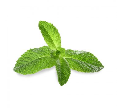 Taze nane yaprakları 