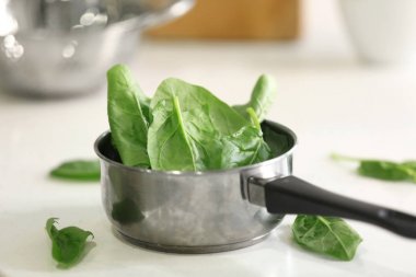Tencere taze ıspanak yaprakları ile 