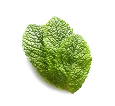 Taze nane yaprakları  