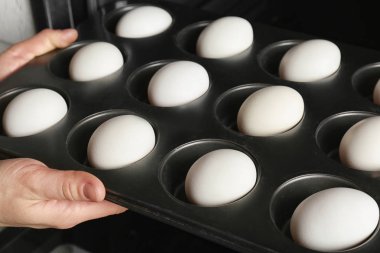 Çörek teneke fırına koyarak kadın