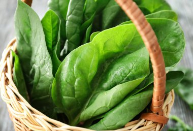 taze ıspanak yaprakları