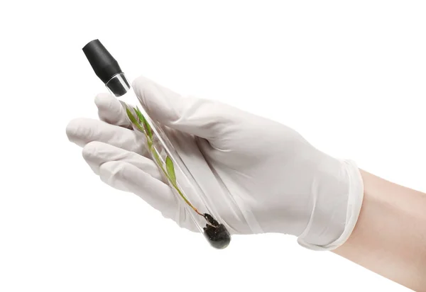 Mão segurando tubo de ensaio com planta — Fotografia de Stock
