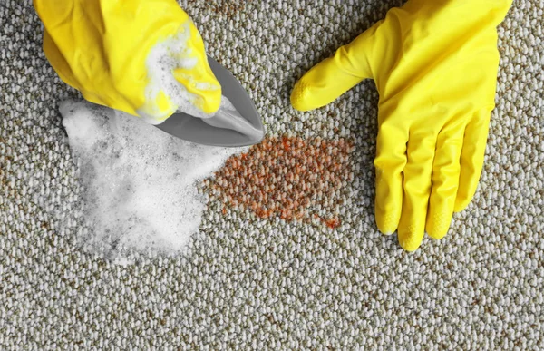Hands cleaning a carpet